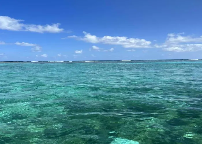 Residences At Barrier Reef 1-2c Oceanfront 2 Bedroom By Floreo Holiday home San Pedro (Ambergris Caye)