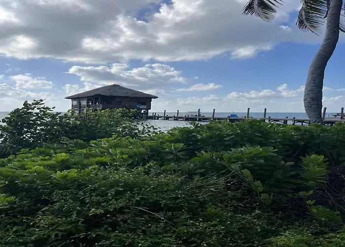 Residences At Barrier Reef 1-2c Oceanfront 2 Bedroom By Floreo * San Pedro (Ambergris Caye)