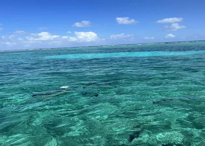 Residences At Barrier Reef 1-2c Oceanfront 2 Bedroom By Floreo