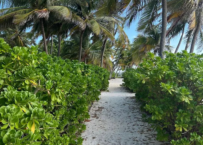 Residences At Barrier Reef 1-2c Oceanfront 2 Bedroom By Floreo Holiday home